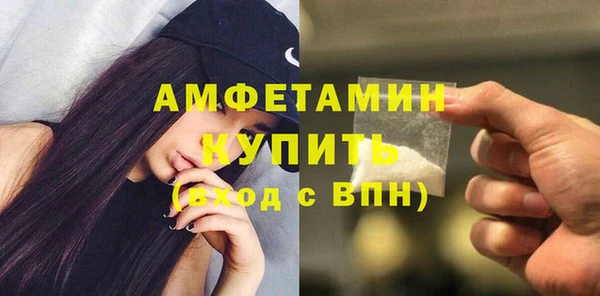 прущие грибы Елизово