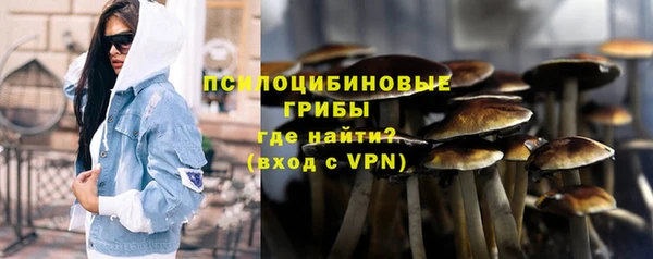 а пвп мука Ельня