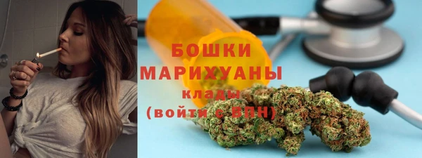 прущие грибы Елизово