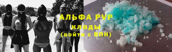 прущие грибы Елизово