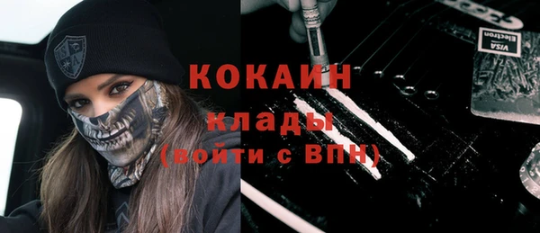 прущие грибы Елизово