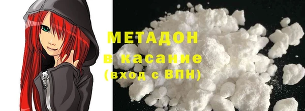 прущие грибы Елизово