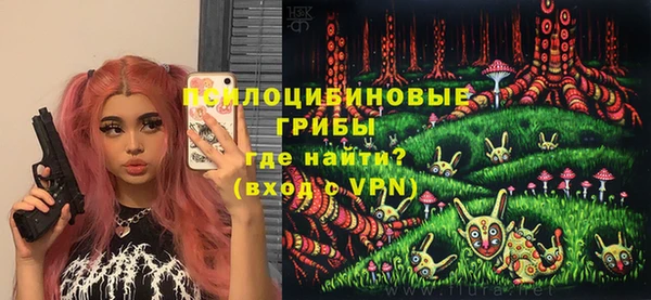 а пвп мука Ельня