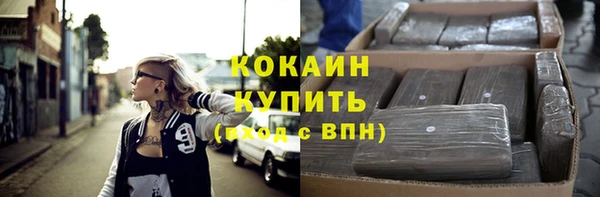 прущие грибы Елизово