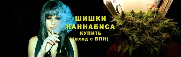 прущие грибы Елизово