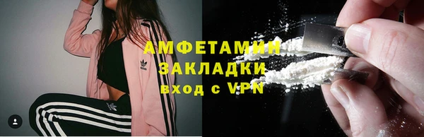прущие грибы Елизово