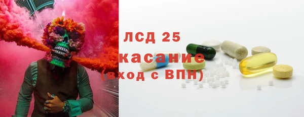 прущие грибы Елизово