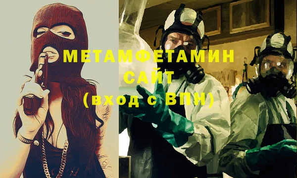 прущие грибы Елизово