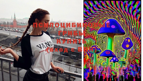 а пвп мука Ельня