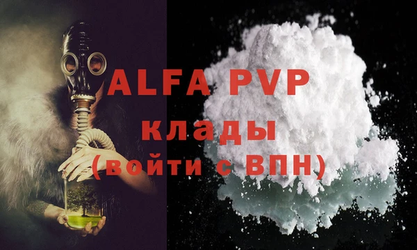 прущие грибы Елизово