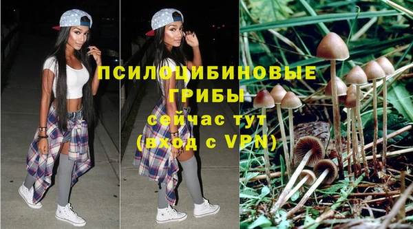 ешки Елабуга