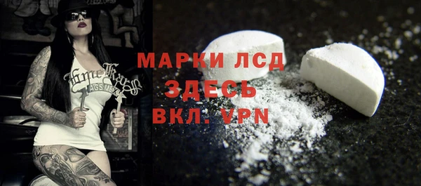 прущие грибы Елизово