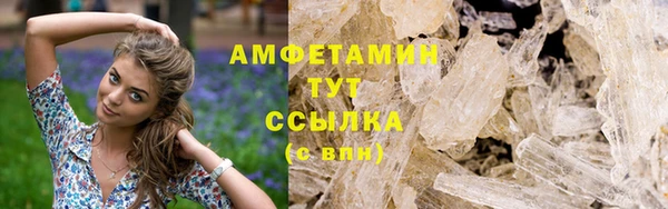 прущие грибы Елизово